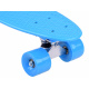FISZKA Farbe Skateboard SP0575