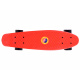 FISZKA Farbe Skateboard SP0575