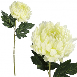 Pojedynczy sztuczny kwiat biała Chryzantema - 70 cm