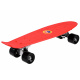 FISZKA Farbe Skateboard SP0575