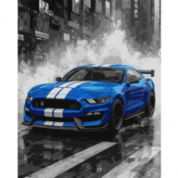 Malowanie po numerach 40x50 cm Niebieskie wyścigi sportowe auto AP0107 uniwersalny