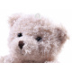 Teddybär Plüsch-Maskottchen-Anhänger ZA4404 universal