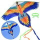 Bunte Licht Papagei Kite Ara Vogel ZA4414 universal