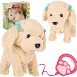 Interaktivní pes na vodítku štěká chodí vrtí ocasem Pudl