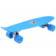 FISZKA Farbe Skateboard SP0575