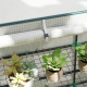 Aga Garten Folientunnel DSA2330