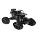 Aga RC Rock Crawler 4x4 LHC012 2in1 Auto schwarz