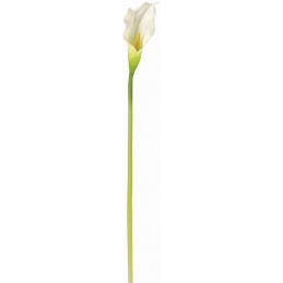 Roślina sztuczna Gałązka Kalia 85 cm wysokości biała JAK ŻYWA