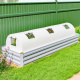 Aga Garten Folientunnel DSA2322