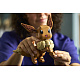LEGO® Pokémon 72151 Evoli