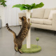 Aga Kratzbaum für Katzen 70 cm