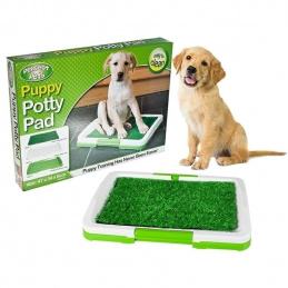 ZW1 KUWETA SZTUCZNA TRAWA DLA PSA