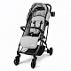 Aga Golfwagen Grau