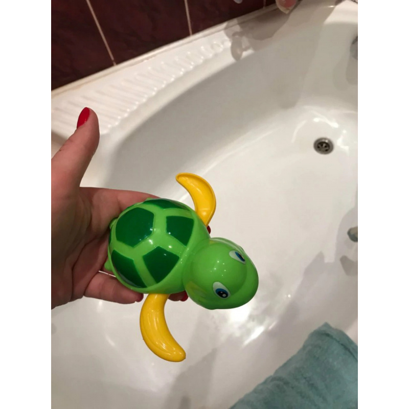 Badespielzeug Grüne aufschraubbare Wasserschildkröte