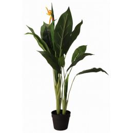 Doniczkowa Strelicja roślina sztuczna zielona - 90 cm