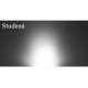 LED-Streifen LED Stripe LED-Band - SMD 2835 - 1m - 120LED/m - 11W/m - IP68 - 230V - kaltweiß - 14mm