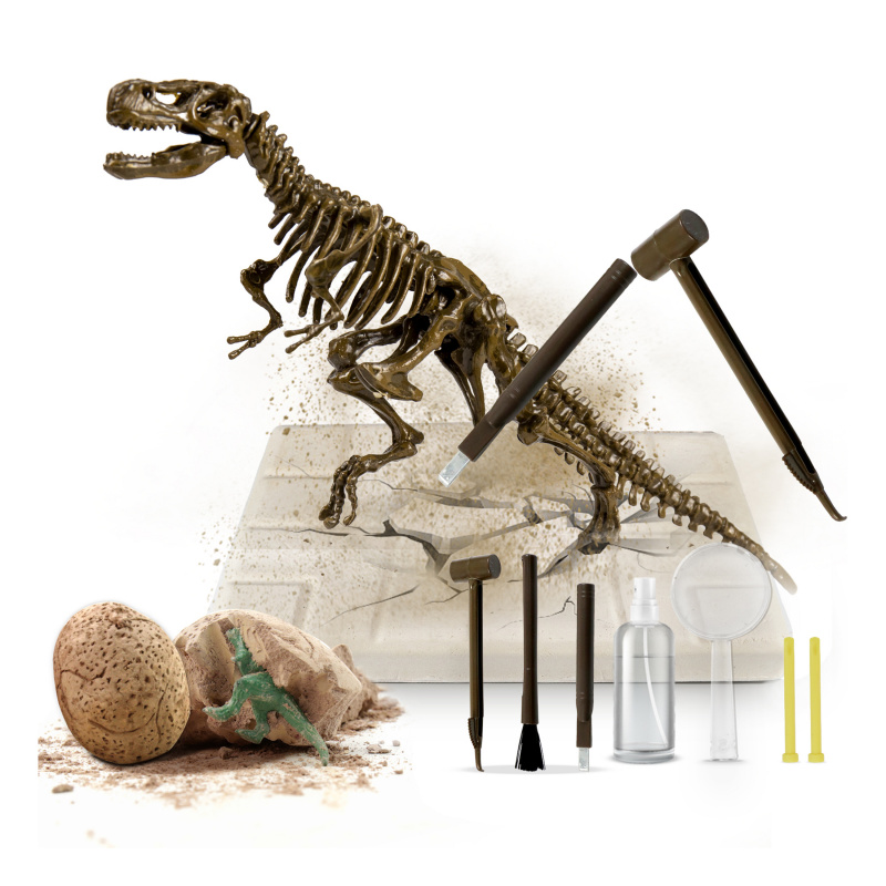 Aga4Kids Set für kleine Paläontologen T-Rex