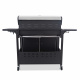 Aga Gasgrill DS1921