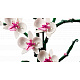 LEGO® Botanicals 10311 Orchidee