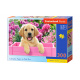 CASTORLAND Puzzle 300 Teile - Labrador Welpe