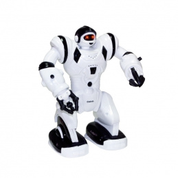 B12A2 MINI ROBOT INTER HUMAN MUSIC DANCE