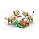 LEGO® Creator 31386 Wilde Tiere: Majestätischer Löwe
