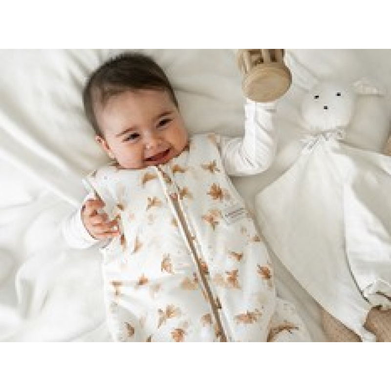 Letni śpiworek bambusowy TOG 1.1 Butterfly 0-6m BAMBOOM uniwersalny