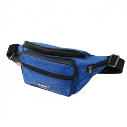 F36A2 SASZETKA NERKA BIODRÓWKA 6 KIESZ.