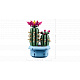 LEGO® Botanicals 11509 Blühender Kaktus