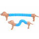Dackel Pop Tube einziehbar Hund ZA4464 universal