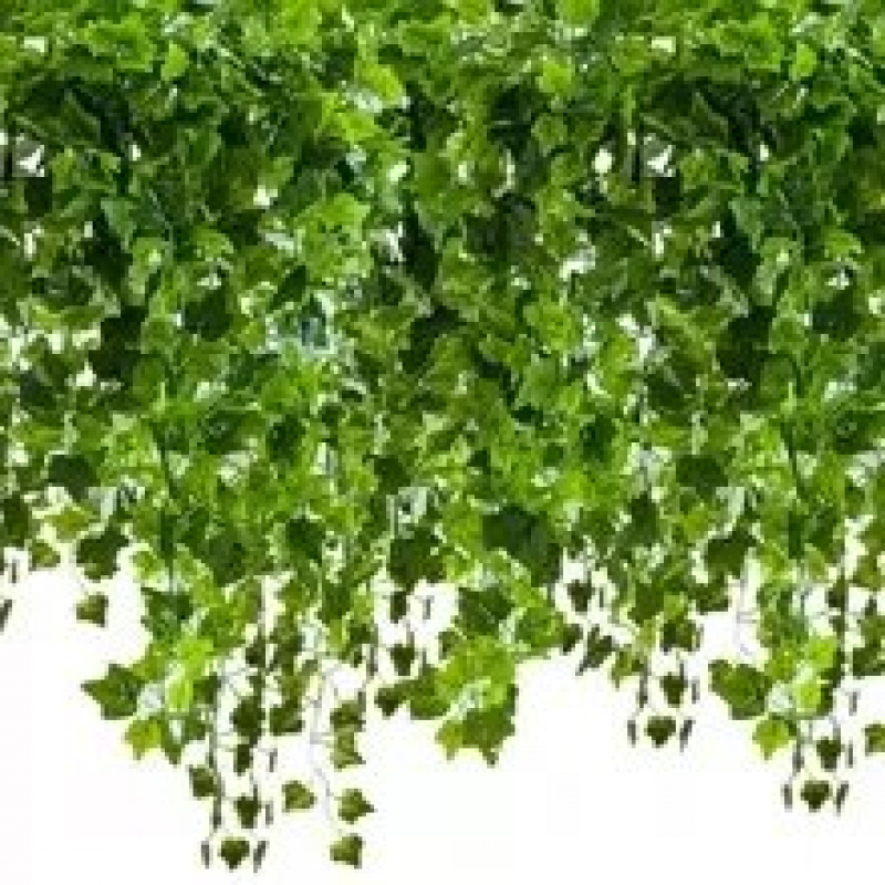 Hängender künstlicher Efeu 50,4 m Gardlov 19737