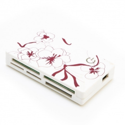 K206 CZYTNIK ALL IN ONE MINI CF