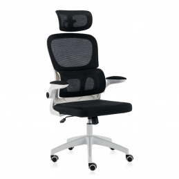 Aga Ergonomischer Bürostuhl DS5016
