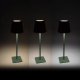 Aga LED Tischlampe DS2408 Grün