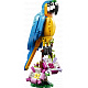 LEGO® Creator 31136 Exotischer Papagei
