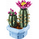 LEGO® Botanicals 11509 Blühender Kaktus