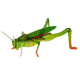 insekt 3D-Puzzle ZA0229