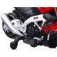 Rennmotorrad Aprilia Tuono V4 Batterie PA0257
