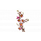 LEGO® Botanicals 11510 Magnolienzweige