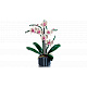 LEGO® Botanicals 10311 Orchidee