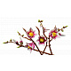 LEGO® Botanicals 11510 Magnolienzweige