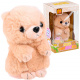 Interaktiver Teddybär wiederholt das Sprechen ZA3553