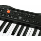 Orgel mit Mikrofon SD-S850 61 Tasten IN0143