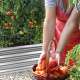 Aga Hochbeet 240x120x30 cm verzinkter Stahl