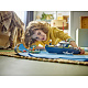 LEGO® City 60456 Verfolgungsjagd im Polizeiboot