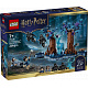 LEGO® Harry Potter™ 76475 Verbotener Wald: Expecto Patronum