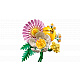 LEGO® Botanicals 10347 Kleiner Sommerstrauß