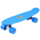 FISZKA Farbe Skateboard SP0575