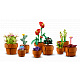 LEGO® Botanicals 10329 Mini Pflanzen