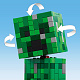 LEGO® Minecraft 21276 Der Creeper™